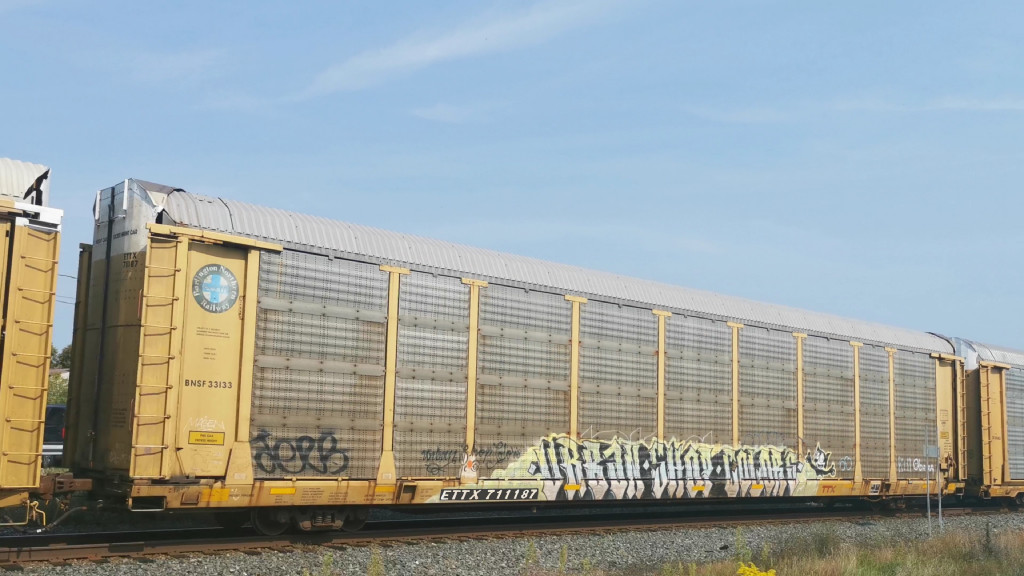 BNSF 33133 (Body) ETTX 711187 (Flat)